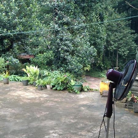 Kanneliya Eco Garden Hotel Koralegama Exterior foto